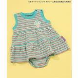 ミント | 【リンク】サーティワン ボーダーティアードボディオール | F.O.Online Store