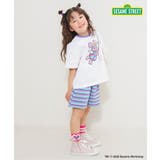 SESAME STREET 立体ソックス | F.O.Online Store | 詳細画像8 