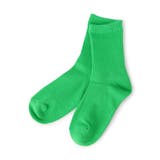 ライム | カラフルソックス | F.O.Online Store