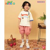 ロゴ・さかな柄ソックス | F.O.Online Store | 詳細画像3