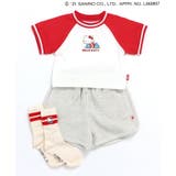 【ハローキティ】ラインソックス | F.O.Online Store | 詳細画像15