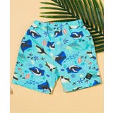 ブルー | わくわくビーチショーツ 4分丈 | F.O.Online Store