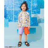 【UVカット】無地・総柄わくわくビーチショーツ | F.O.Online Store | 詳細画像11 