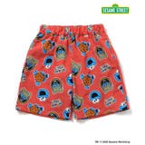 SESAME STREET わくわくビーチショーツ  UVカット | F.O.Online Store | 詳細画像15 