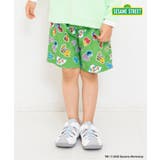 グリーン | SESAME STREET わくわくビーチショーツ  UVカット | F.O.Online Store