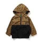 キャメル | カラバリウィンドブレーカー | F.O.Online Store