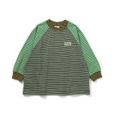 グリーン | 【AAAL PROD】ボーダーTシャツ | F.O.Online Store