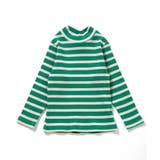 WEB限定  ボーダーリブロンT | F.O.Online Store | 詳細画像6 