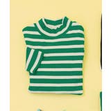 グリーン | WEB限定  ボーダーリブロンT | F.O.Online Store