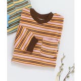 ブラウン | ベロアボーダーロンT | F.O.Online Store