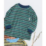 グリーン | ベロアボーダーロンT | F.O.Online Store