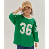 グリーン | 【WEB限定】 配色ナンバリングTシャツ | F.O.Online Store