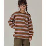 ブラウン | WEB限定  KUDOZ.B ボーダーTシャツ  | F.O.Online Store