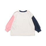 WEB限定 無地・ボーダーTシャツ | F.O.Online Store | 詳細画像2 