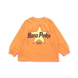 WEB限定 グラフィックバリエーションTシャツ | F.O.Online Store | 詳細画像14