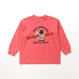 WEB限定  カレッジバリエーションTシャツ | F.O.Online Store | 詳細画像22 