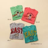 WEB限定  カレッジバリエーションTシャツ | F.O.Online Store | 詳細画像28 