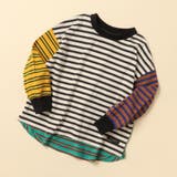 レインボー | 【WEB限定 】カラバリ無地・ボーダーTシャツ | F.O.Online Store