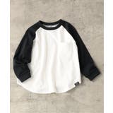 WEB限定 ラグランTシャツ | F.O.Online Store | 詳細画像1 