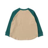 WEB限定 ラグランTシャツ | F.O.Online Store | 詳細画像3 