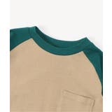 WEB限定 ラグランTシャツ | F.O.Online Store | 詳細画像4 