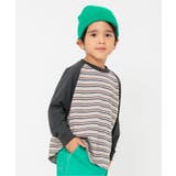 チャコール | WEB限定 ラグランTシャツ | F.O.Online Store