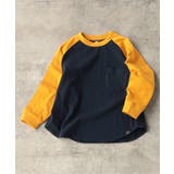 ネイビーブルー | WEB限定 ラグランTシャツ | F.O.Online Store