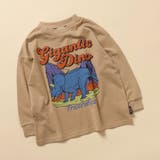 【WEB限定 】グラフィックバリエーションTシャツ | F.O.Online Store | 詳細画像1