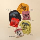 【WEB限定 】グラフィックバリエーションTシャツ | F.O.Online Store | 詳細画像23