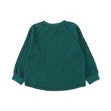 WEB限定 ワッフルTシャツ | F.O.Online Store | 詳細画像5