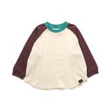 WEB限定 ラグランカラバリTシャツ | F.O.Online Store | 詳細画像11