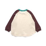WEB限定 ラグランカラバリTシャツ | F.O.Online Store | 詳細画像12