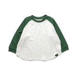 WEB限定 ラグランカラバリTシャツ | F.O.Online Store | 詳細画像17