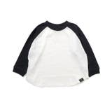 WEB限定 ラグランカラバリTシャツ | F.O.Online Store | 詳細画像6