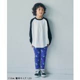WEB限定 ラグランカラバリTシャツ | F.O.Online Store | 詳細画像7