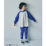 WEB限定 ラグランカラバリTシャツ | F.O.Online Store | 詳細画像9