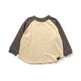 ベージュ | WEB限定  ラグランカラバリTシャツ | F.O.Online Store