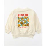 アイボリー | バックボックストレーナー | F.O.Online Store