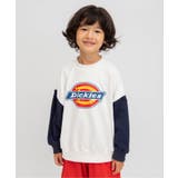 WEB限定【Dickies】ロゴトレーナー | F.O.Online Store | 詳細画像1