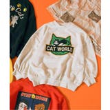 キナリ | 【リンク】BREEZY CATS にゃんシーントレーナー | F.O.Online Store
