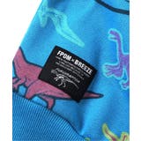 福井県立恐竜博物館コラボ カラフルDino総柄トレーナー | F.O.Online Store | 詳細画像12 