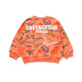 福井県立恐竜博物館コラボ カラフルDino総柄トレーナー | F.O.Online Store | 詳細画像3 