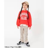 【リンク】カレッジバリエーショントレーナー(セットアップ可) | F.O.Online Store | 詳細画像32 