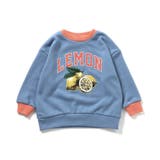 サックス | WEB限定  フードカレッジ３柄トレーナー | F.O.Online Store