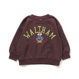 ブラウン | WEB限定  カラバリグラフィックトレーナー  | F.O.Online Store