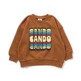キャメル | WEB限定  カラバリグラフィックトレーナー  | F.O.Online Store