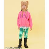 WEB限定 ボーダーリブパンツ | F.O.Online Store | 詳細画像7