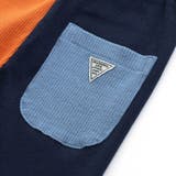 DAISUKI リブパンツ  9分丈 | F.O.Online Store | 詳細画像23 