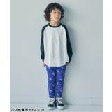 DAISUKI 総柄パンツ 9分丈 | F.O.Online Store | 詳細画像9
