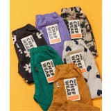 NEWシェフパンツ  10分丈 | F.O.Online Store | 詳細画像34 